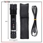 Taser TS-3003 36 Billion Torch Stun Gun – Rechargeable LED Flashlight